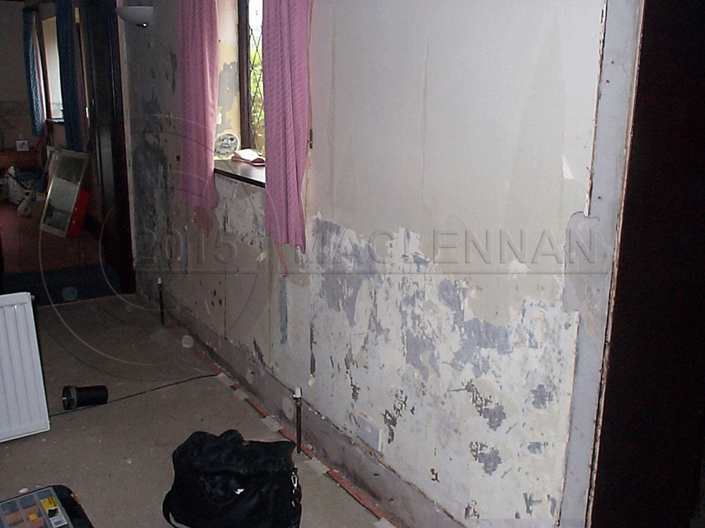 Penetrating Damp Rising
